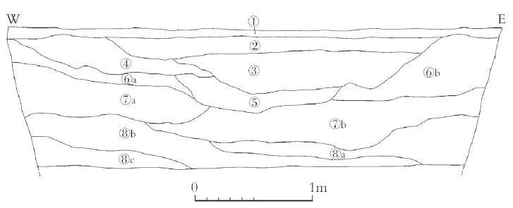 North wall profile of Sanxingdui Pit 7